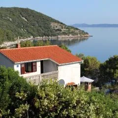 Apartments by the sea Savar, Dugi otok - 892