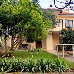 Apartments with parking space Kozino, Zadar - 678