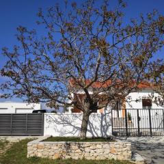 Family friendly house with a swimming pool Bulic, Zagora - 18943