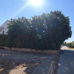 Apartments by the sea Srima - Vodice, Vodice - 18853