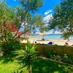 Apartman Branka