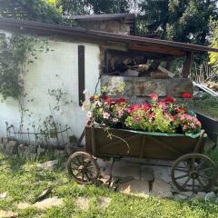 Apartament pod Brzozami