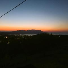 Amazing View