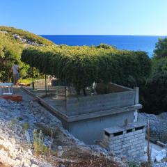 Secluded fisherman's cottage Cove Rasohatica, Korcula - 9233