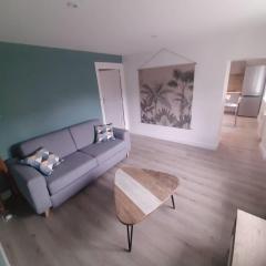 Bel Appartement T2 40 M2