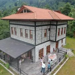Vice's Konağı