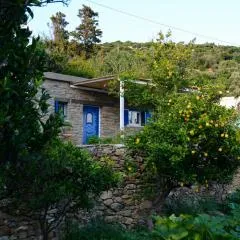 K vineyard house