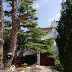 Apartments with parking spaces Mandre, Pag - 9420