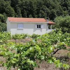 Apartments with a parking space Trstenik, Peljesac - 10109