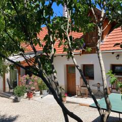 Gosztola Apartman Hidegség