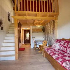 Duplex rénové à Morillon, proche télécabine, 4 pers, balcon, Wi-Fi, parking - FR-1-642-68