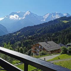 Duo Des Alpages vue exceptionnelle sur le Mont Blc