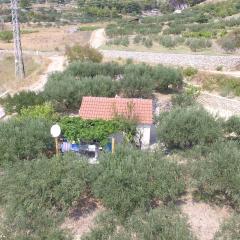 Holiday house with a parking space Bol, Brac - 12604