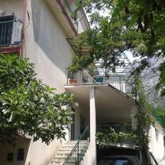 Apartments with a parking space Gradac, Makarska - 13196