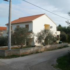 Apartments by the sea Ugljan - 14898