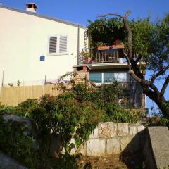 Apartments with WiFi Lastovo - 14990