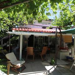 Seaside holiday house Sucuraj, Hvar - 15141