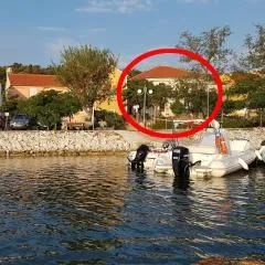Apartments by the sea Veli Rat, Dugi otok - 437