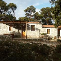 Apartments by the sea Pomena, Mljet - 614