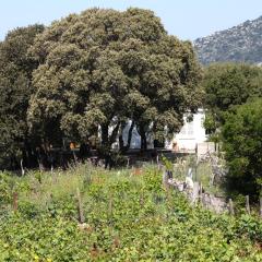 Seaside secluded apartments Cove Blaca, Mljet - 615