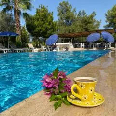 Farmside OTEL