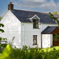 Cosy Cottage in Wild Countryside by Llys-y-Fran