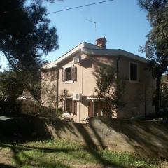 Apartments by the sea Artatore, Losinj - 2474