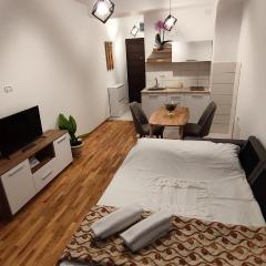 Apartment Risteski Lux