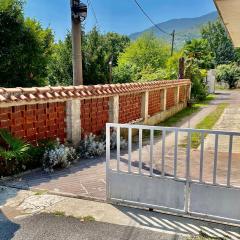 ORTHOPEDIC CENTER NEAR WITH FREE PARKING, Quite and Privately