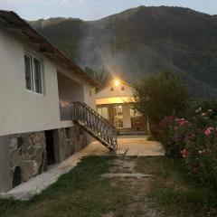 Guest house Mzia