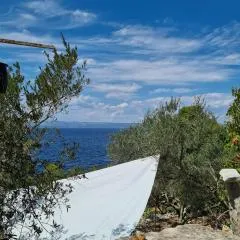 Koki eco house