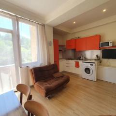 Bakuriani K-2 Apartment