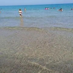 Stella marina