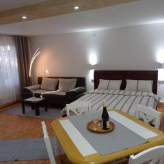 Meda Apartment