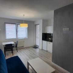 Apartament Katowicka