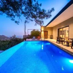 Villa esinti