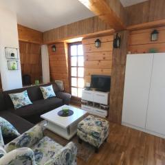 Apartman Nancy Vlašić