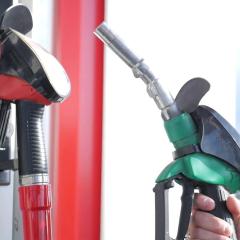 Holiday Inn Express Tampa North Telecom Park by IHG