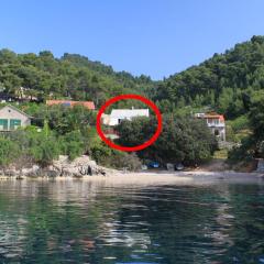 Seaside secluded apartments Cove Rapak, Hvar - 8767