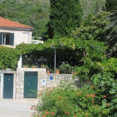 Apartments by the sea Zaton Mali (Dubrovnik) - 9049