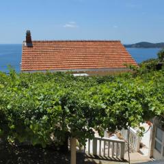 Apartments with a parking space Vrbica, Dubrovnik - 9008