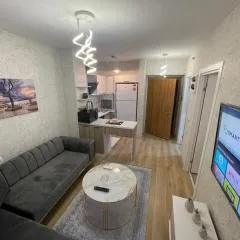 Classic Suite SH17