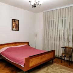 Central Apartment- offers free parking and Wi-Fi
