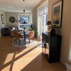 City Center (2bedroom/1bath/Balcony) Sørenga