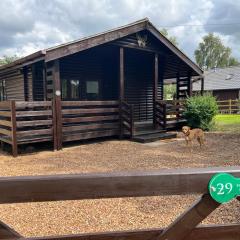 Cheerful 3-bedroom cabin with hot tub