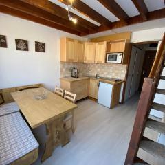 Appartement 2 pièces avec mezzanine près des pistes - 6 personnes - FR-1-815-81