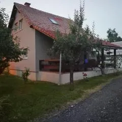 Apartments with a parking space Ostarski Stanovi, Plitvice - 16071