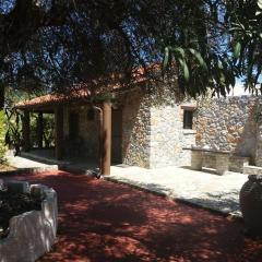 Stone house among trees