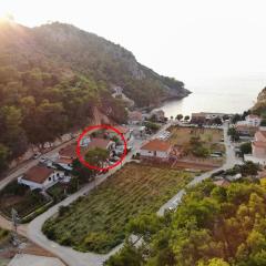 Apartments by the sea Cove Vela Stiniva, Hvar - 17075