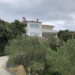 Apartments with parking space Kampor, Rab - 17034